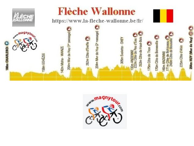 flechewallonne