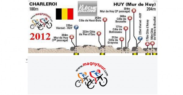 flechewallonne2012_logo